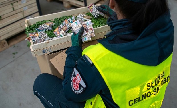 Papierosy ukryte w pietruszce. Służby udaremniły gigantyczny przemyt 