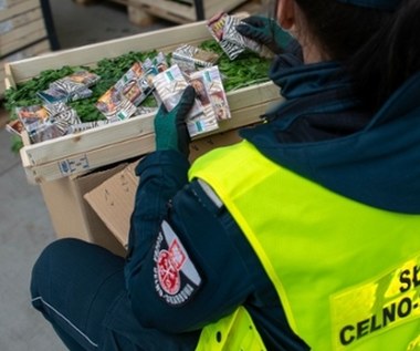 Papierosy ukryte w pietruszce. Służby udaremniły gigantyczny przemyt 