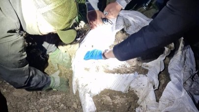 Papierosy z Białorusi ukryte w stodole i zakopane w ziemi. Przemytnicza kryjówka ujawniona