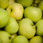 Papierówka: Ulubiona odmiana jabłek Polaków