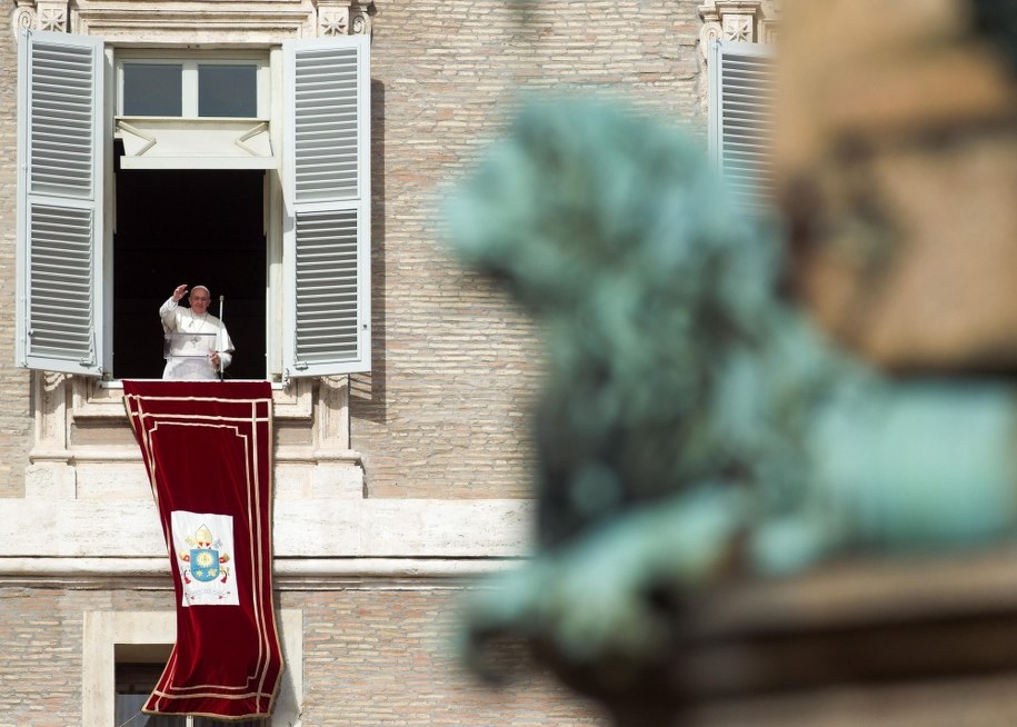 "Papieskie gołębie" w rejonie Watykanu często padają ofiarą drapieżnych i agresywnych mew /CLAUDIO PERI /PAP/EPA