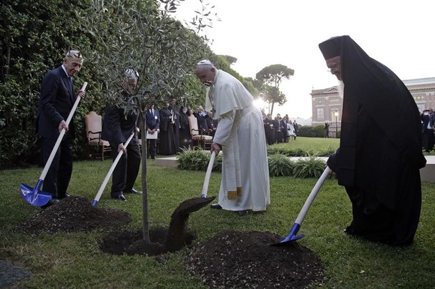 Papież wraz z przywódcami sadzi drzewka /MAX ROSSI / POOL /PAP/EPA