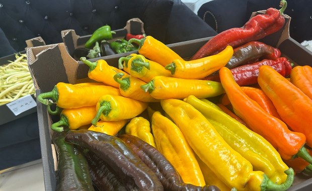 Papryka, aronia i arbuzy. "Pyszne, bo polskie" tym razem na Mazowszu