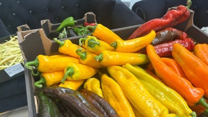 Papryka, aronia i arbuzy. "Pyszne, bo polskie" tym razem na Mazowszu
