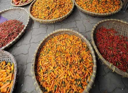 Papryka chili przyspiesza metabolizm /AFP