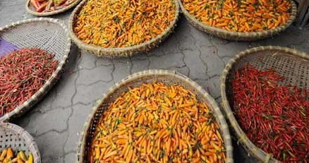 Papryka chili przyspiesza metabolizm /AFP