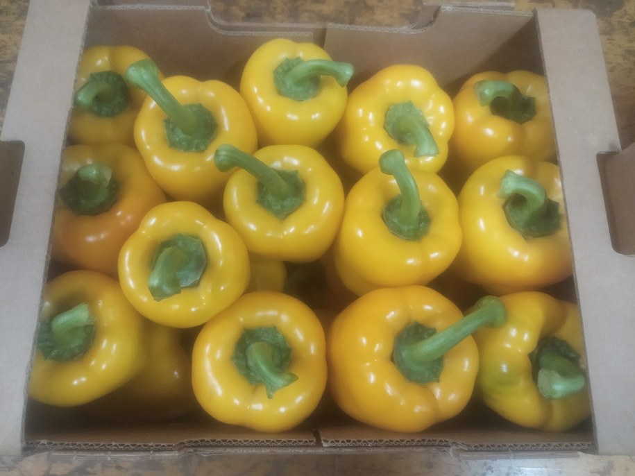 Papryka jest tak droga, ponieważ jest jej mało /Michał Dobrołowicz /RMF FM