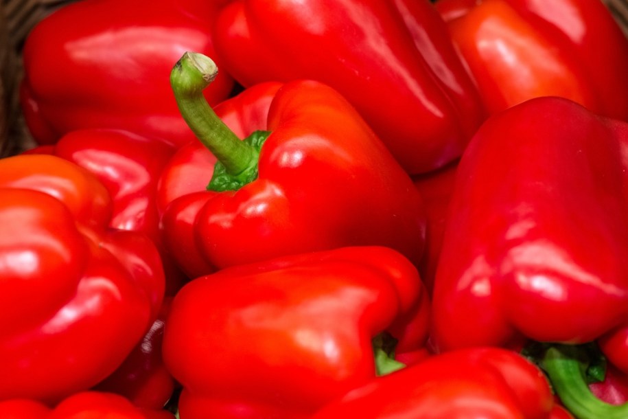 Papryka /PAP/Wojciech Pacewicz /PAP