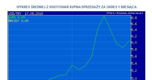 Para dolar USA / lira /INTERIA.PL