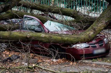 Paraliż na drogach. Rośnie liczba ofiar szalejącego nad Polską huraganu 