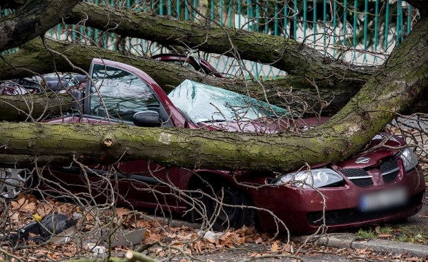 Paraliż na drogach. Rośnie liczba ofiar szalejącego nad Polską huraganu 