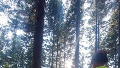 Paralotniarka zawisła na drzewie. Interweniował GOPR