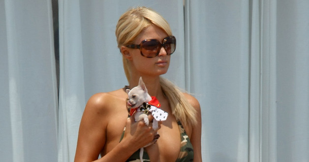 Paris Hilton &nbsp; /Splashnews