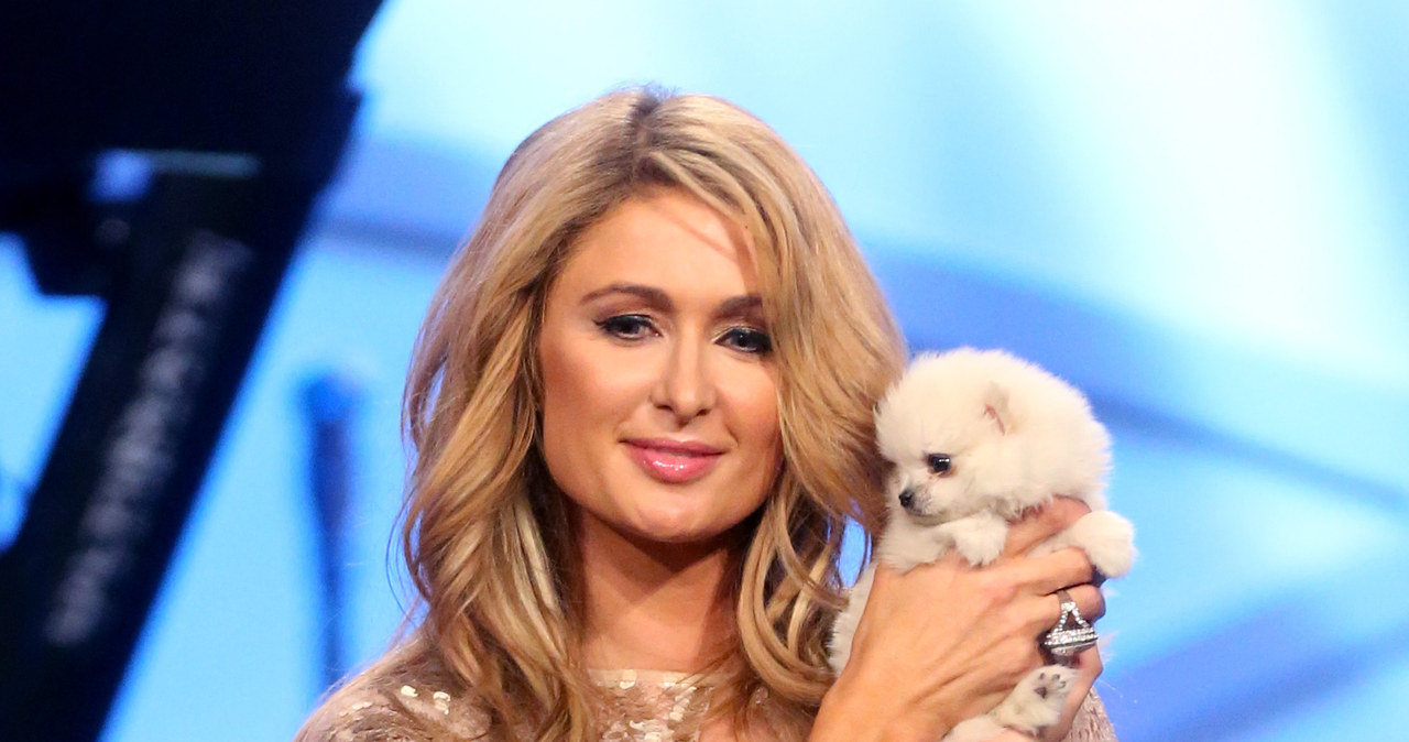 Paris Hilton /Frederick M. Brown /Getty Images