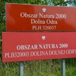 Park Doliny Dolnej Odry jednak powstanie? Minister klimatu zapowiada dalsze kroki