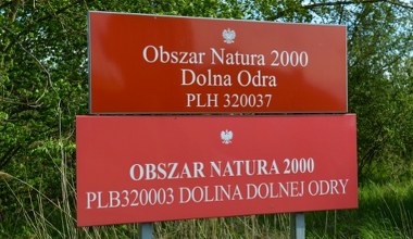 Park Doliny Dolnej Odry jednak powstanie? Minister klimatu zapowiada dalsze kroki