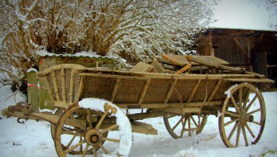 Park edukacyjny "Branice". Coraz więcej eksponatów