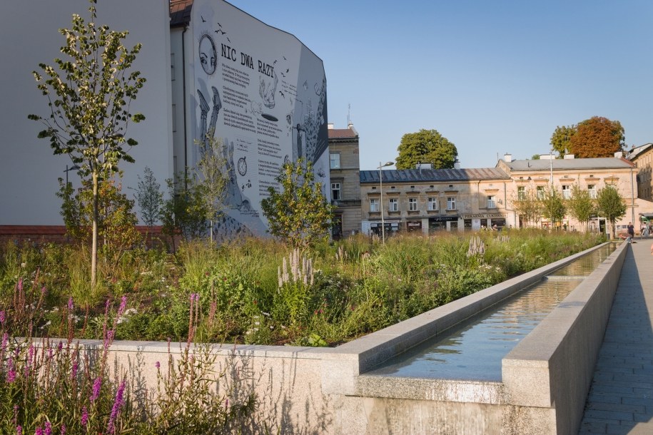 Park im. Wisławy Szymborskiej w Krakowie /Maciej Nycz /RMF FM