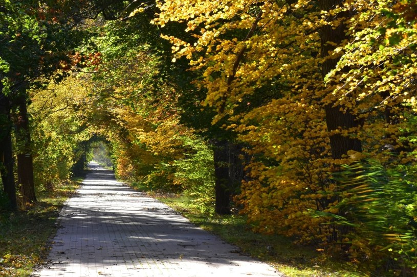 Park krajobrazowy Dolina Baryczy pełen jest ścieżek pieszych i rowerowych. /Albin Marciniak /East News