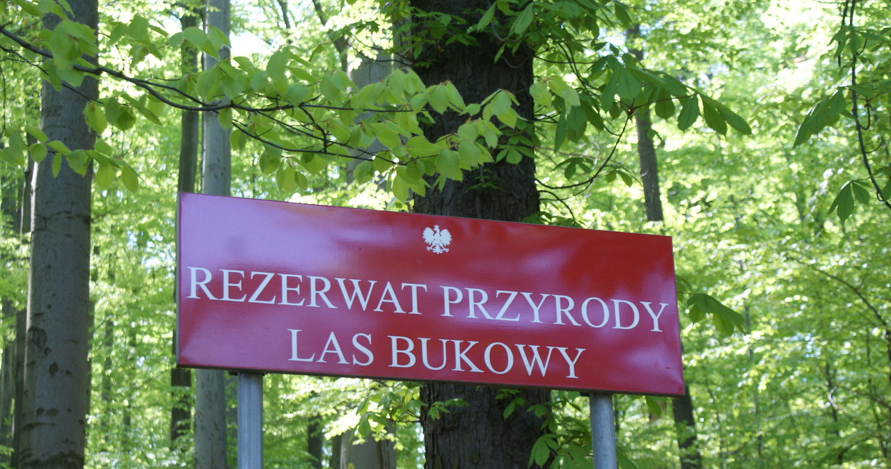 Park Krajobrazowy Gór Opawskich