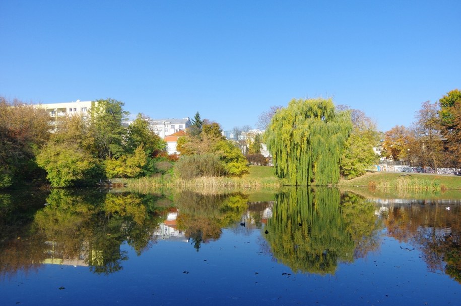 Park Morskie Oko w Warszawie (zdjęcie poglądowe) / Zofia i Marek Bazak /East News