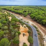 Park Narodowy Donana w Hiszpanii. Fascynujący świat mokradeł i zwierząt
