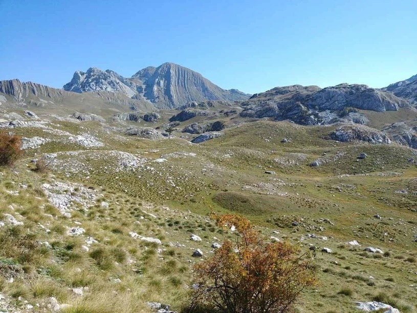 Park Narodowy Durmitor /Izabela Grelowska /INTERIA.PL