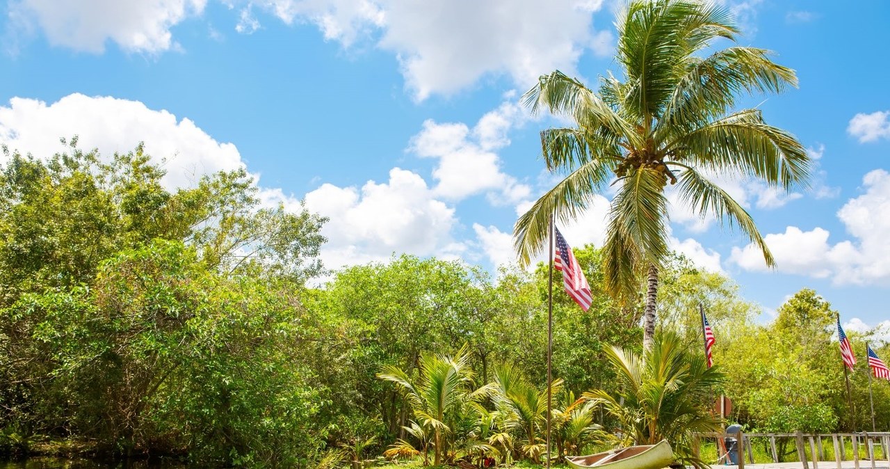 Park Narodowy Everglades pozwala uciec przed wielkomiejskim zgiełkiem lezącego nieopodal Miami /123RF/PICSEL