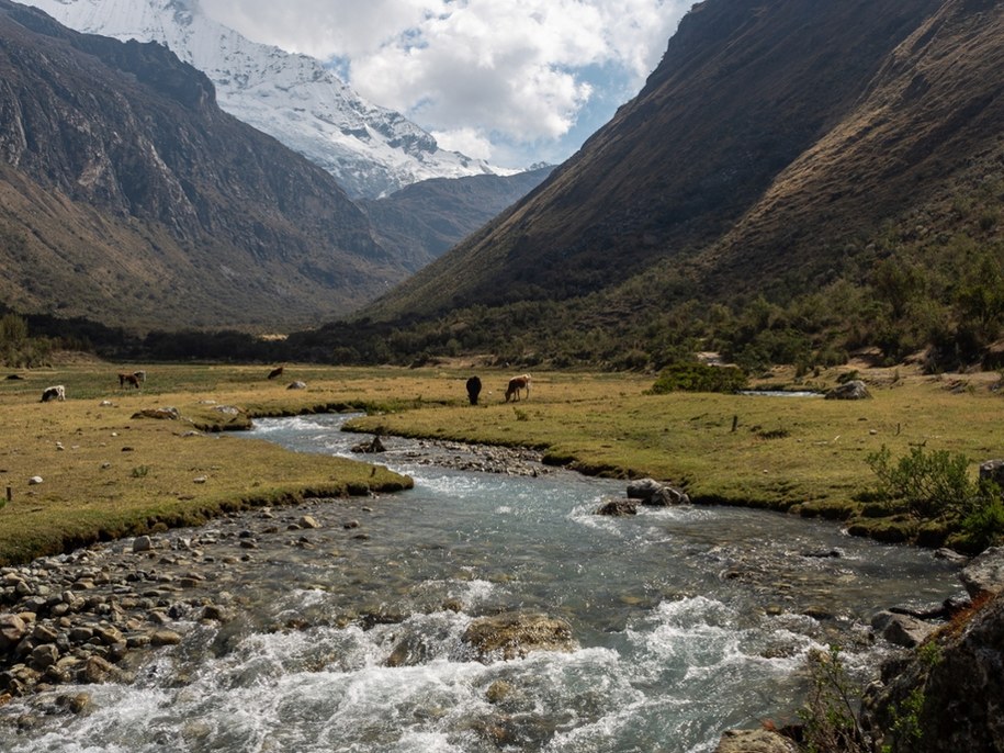 Park Narodowy Huascarán w Peru (zdjęcie ilustracyjne) /Shutterstock