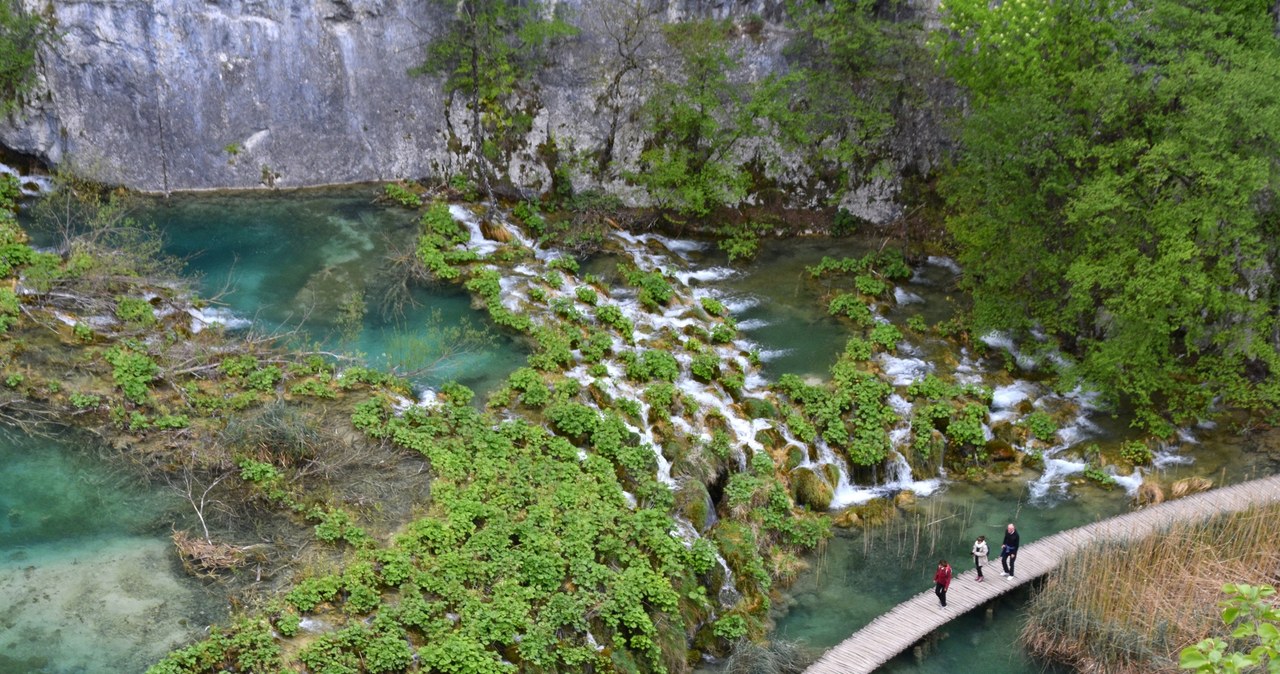 Park Narodowy Jezior Plitwickich jest dobrze przystosowany do ruchu turystycznego. Zamieszczone są tutaj drewniane kładki, mostki i ścieżki, które ułatwiają przemieszczanie się po parku. /East News