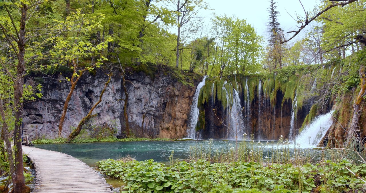 Park Narodowy Jezior Plitwickich w Chorwacji warto odwiedzić w czerwcu. Widoki są zachwycające, a tłumy turystów jeszcze nie tak duże. /East News