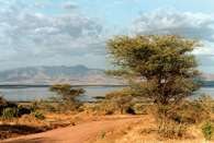 Park narodowy Lake Manyara /Encyklopedia Internautica