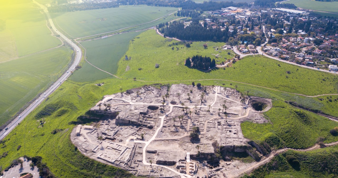 Park Narodowy Megiddo /123RF/PICSEL