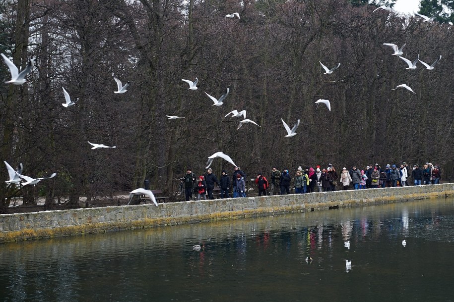 Park Oliwski /Adam Warżawa /PAP