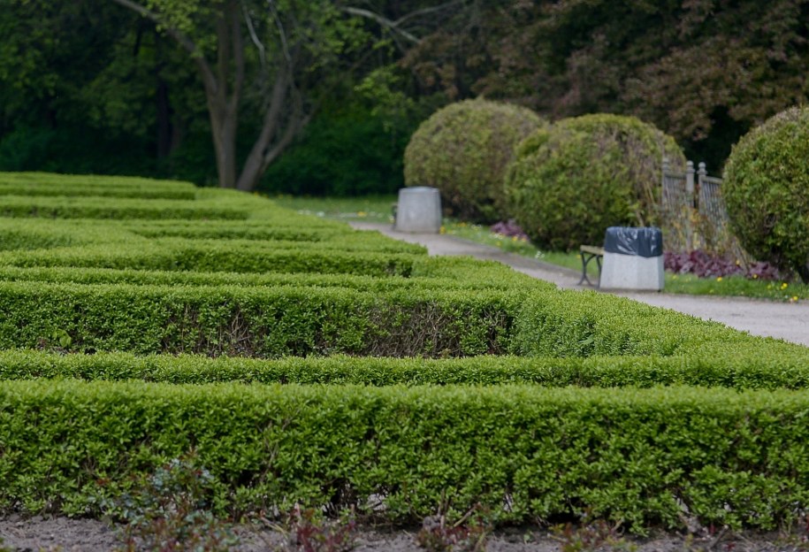 Park Skaryszewski w Warszawie / 	Marcin Obara  /PAP