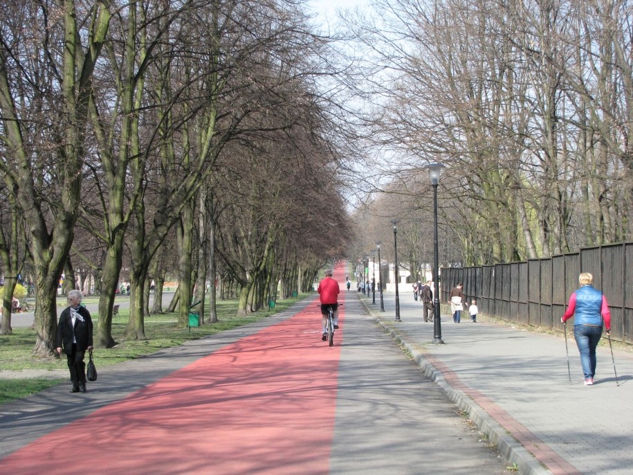 Park Śląski /arch. RMF