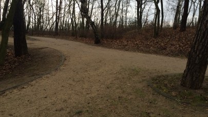 Park w Gdańsku-Brzeźnie z monitoringiem. "Takie straszne rzeczy się tu wydarzyły" 