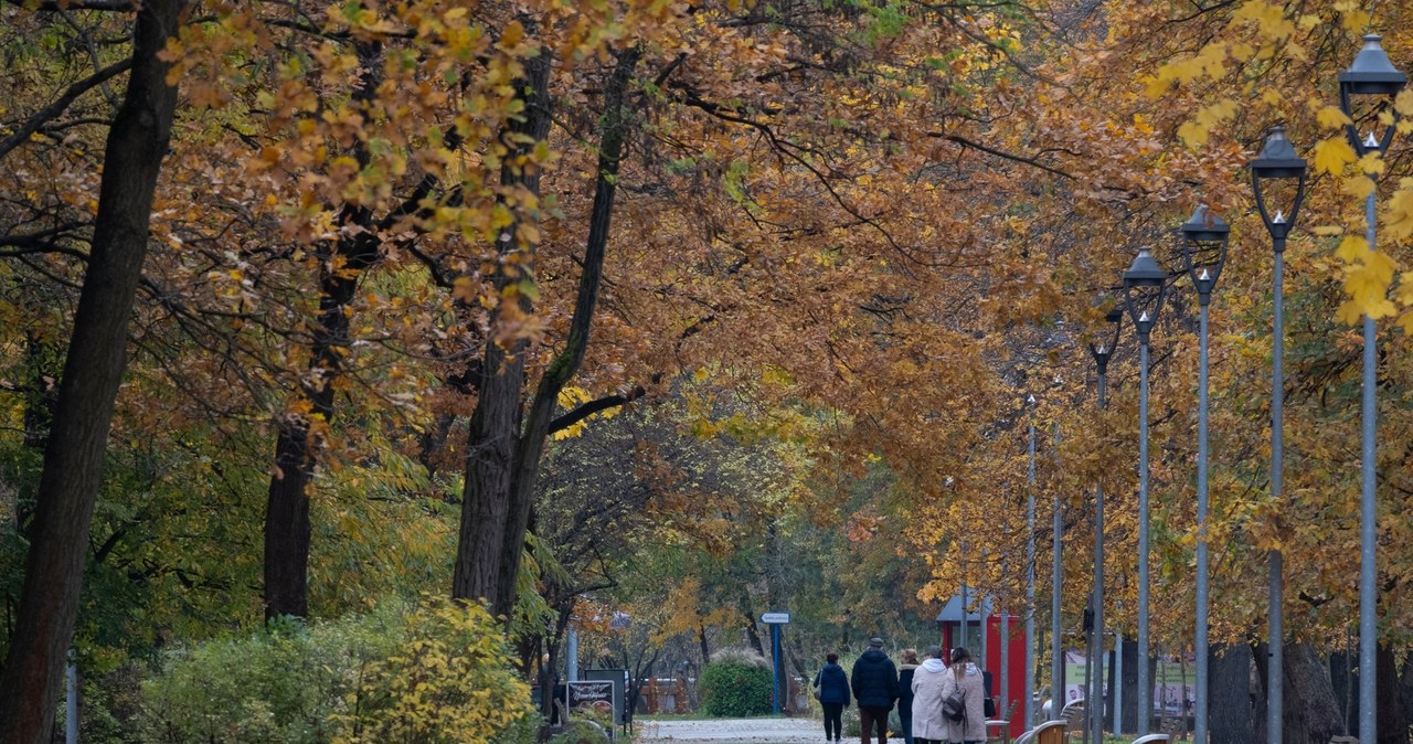 Park Zdrojowy w miejscowości Konstancin-Jeziorna zachwyca o każdej porze roku. Jesienią jest tutaj szczególnie klimatycznie. /Pixel