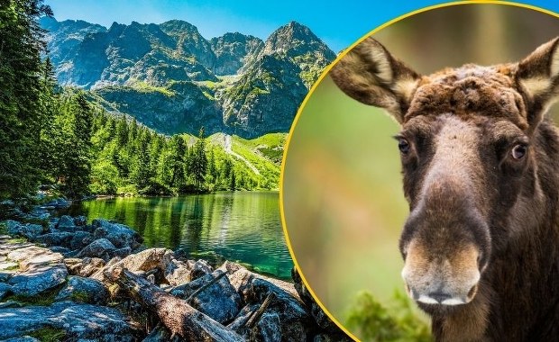 Parki narodowe na minusie. Alarmujące prognozy