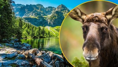 Parki narodowe na minusie. Alarmujące prognozy