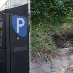 Parkomat w lesie? Nietypowa historia urządzenia