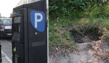 Parkomat w lesie? Nietypowa historia urządzenia