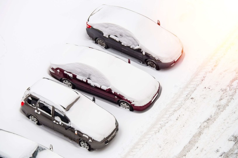 Parkowanie na zaśnieżonym trawniku - czy grozi za to mandat? /123RF/PICSEL