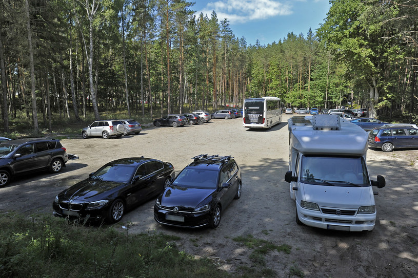 Parkowanie w lasach jest możliwe wyłącznie w wyznaczonych miejscach /Stanisław Bielski /Reporter