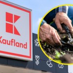 Parkside w Kauflandzie od poniedziałku. Narzędzia i farby ogrodowe w promocji