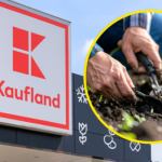 Parkside w Kauflandzie od poniedziałku. Narzędzia i farby ogrodowe w promocji