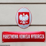 Partie wydały w sumie ponad 110 mln zł na wybory w 2015 r.
