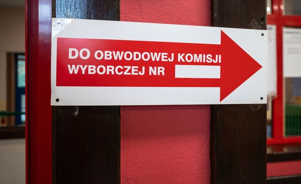 Partyjna legitymacja czy lokalne dokonania - co ma większe znaczenie w wyborach samorządowych?