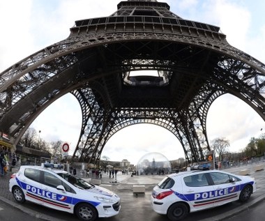 Paryż chce zakazu wjazdu dla samochodów z silnikiem Diesla!