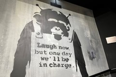 Paryż składa hołd Banksy'emu. Można zwiedzać muzeum poświęcone artyście